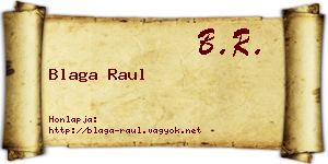 Blaga Raul névjegykártya